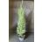 Oszlopos Leylandi Ciprus - Green Rocket