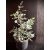 Eucalyptus Silver Tropfen